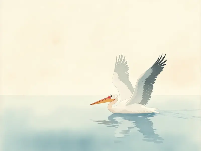 夢のイラスト:ペリカン
