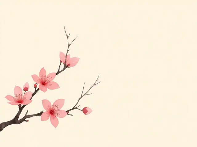 2月13日のイメージ(冬)